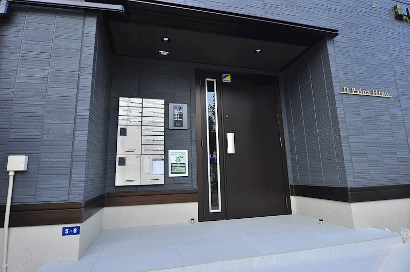 D Paina Hino その他8