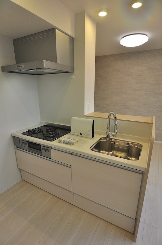 D Paina Hino キッチン