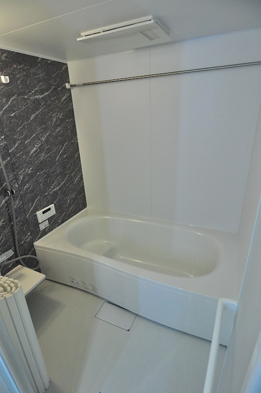 D Paina Hino 風呂画像