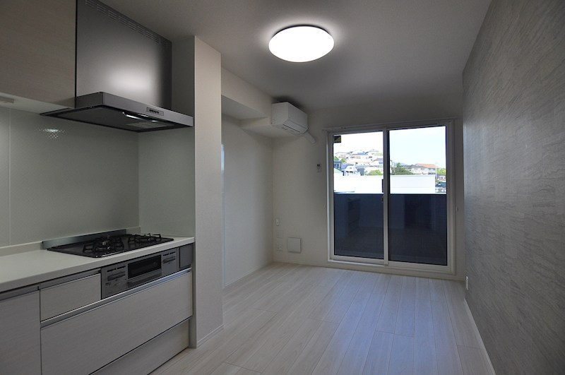 D Paina Hino その他1