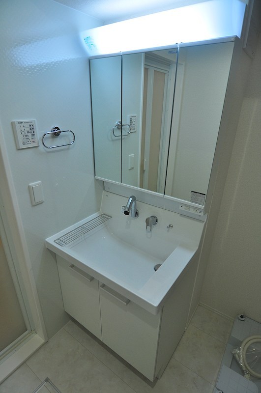 D Paina Hino その他3