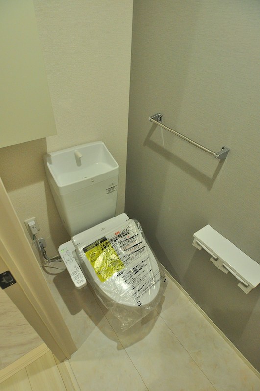 D Paina Hino その他4