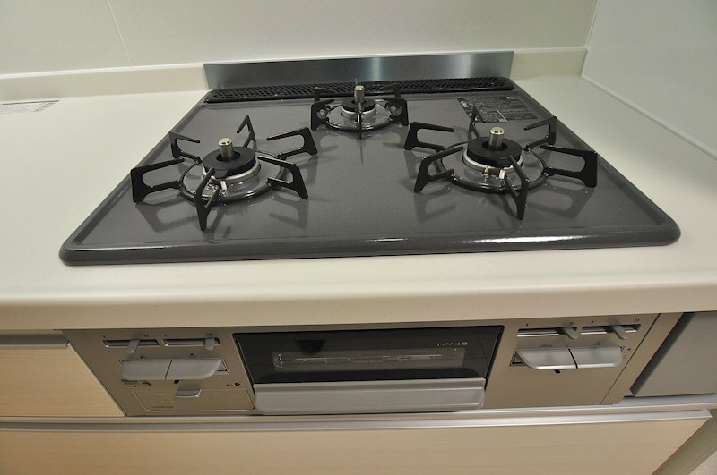 D Paina Hino その他7