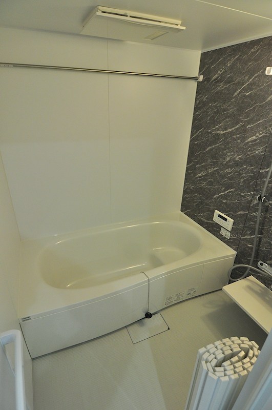 D Paina Hino 風呂画像