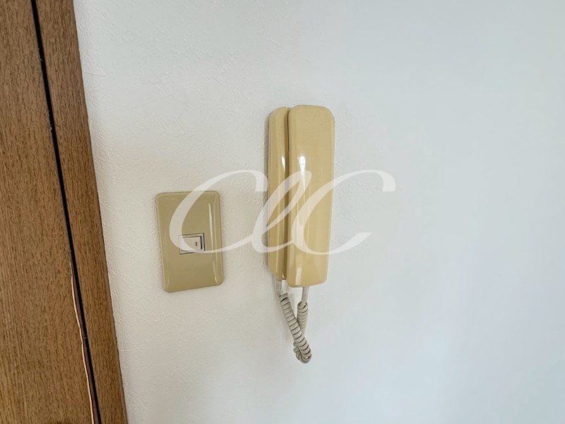 ドヌール・ローゼ その他5