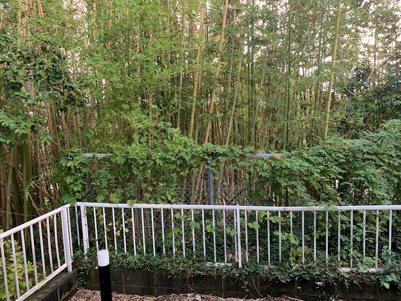 コーポオーノ その他3