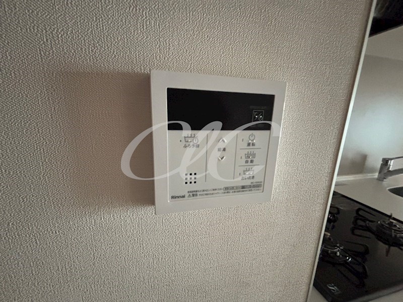 Villa Blanche その他14