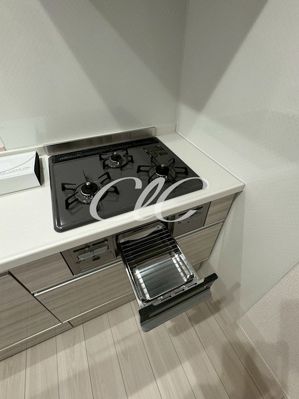 D paina 上平間Ⅱ その他4