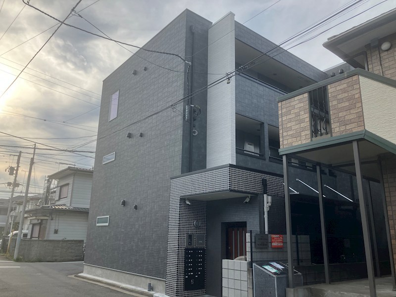 その他11
