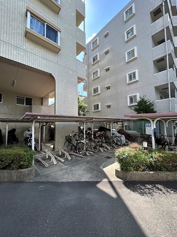 その他11