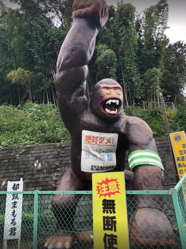 リーラ横浜川和町 その他13