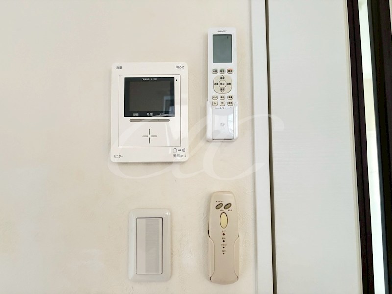 コモド・カセッタ その他2