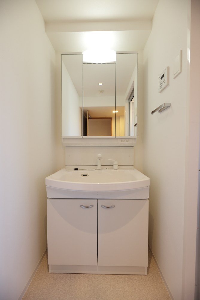 リーラ横浜川和町 その他2