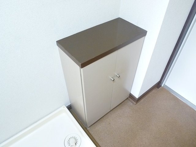 ヴェルドミール  その他8