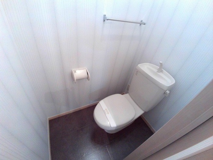 エバーグリーン その他1