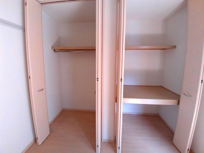 エバーグリーン その他3