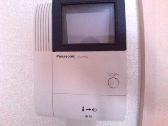 エバーグリーン その他4