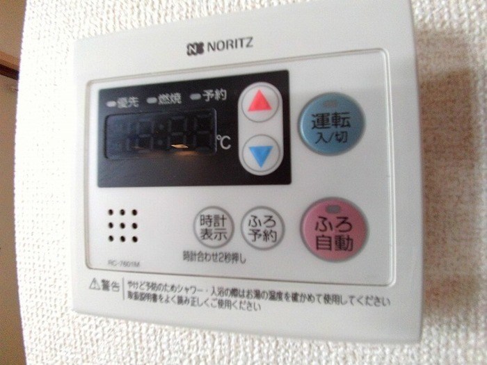 エバーグリーン その他5