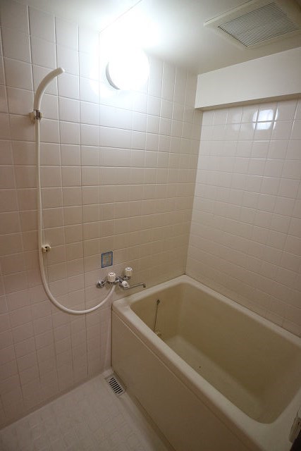 エレクパレス・アベ  風呂画像