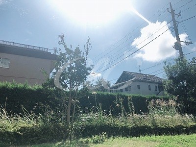 シエールグラン洋光台南公園 その他5