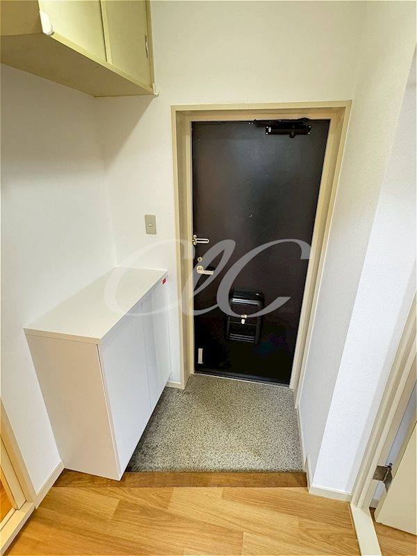 プリースメゾン御幸 玄関