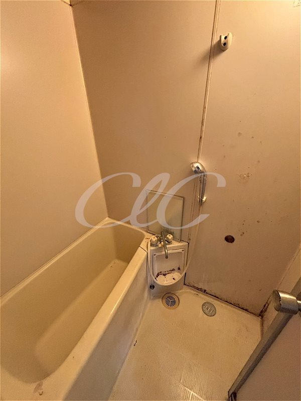 ブロンズパリス 風呂画像