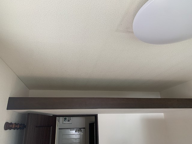 ジャーティンイトウ その他5