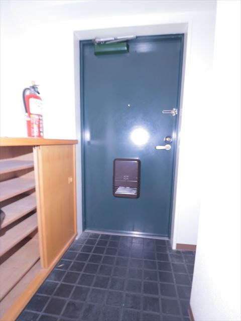 グランデュール峯崎 玄関