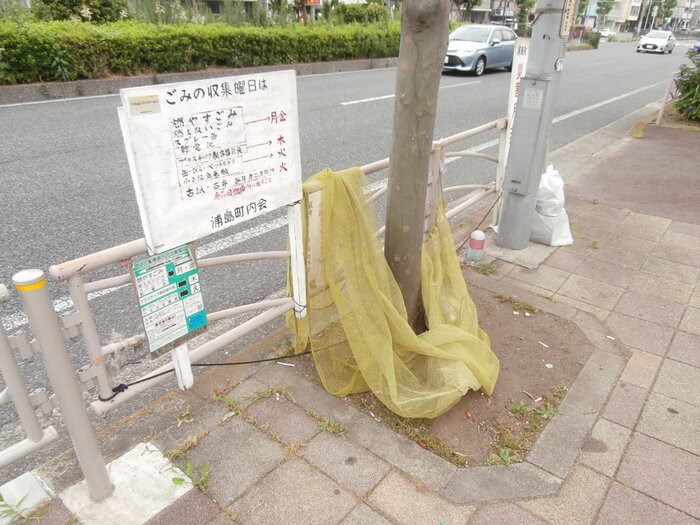 モンシャトー その他10