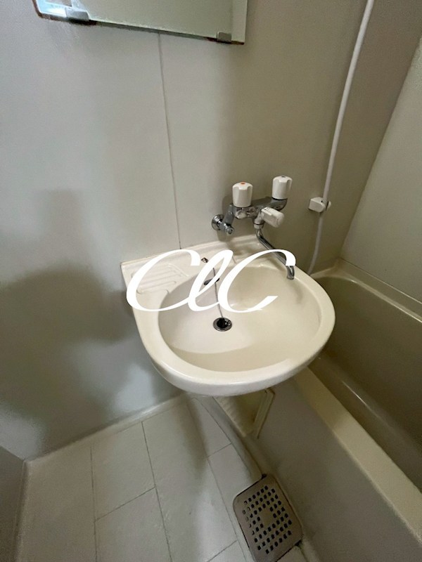 パナハイツＭＹ その他2