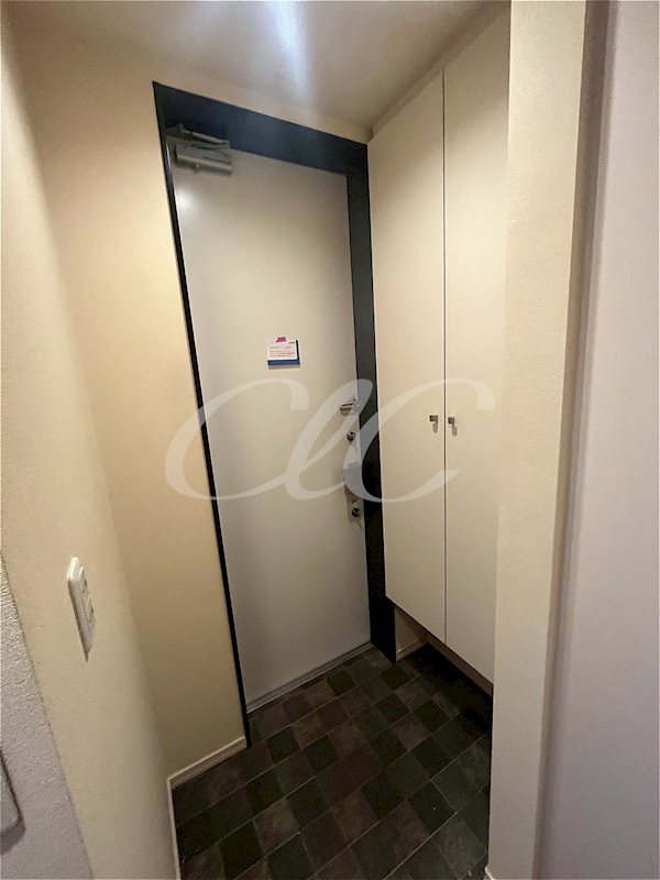 アリビオイケガミ 玄関