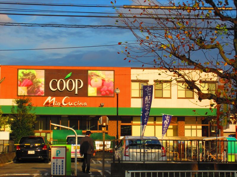 カーサビオレット 周辺画像10