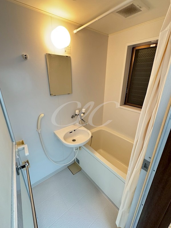 カーサルミノソ 風呂画像