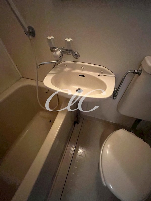 ジャーティンイトウ その他1