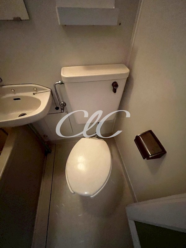 ジャーティンイトウ その他2