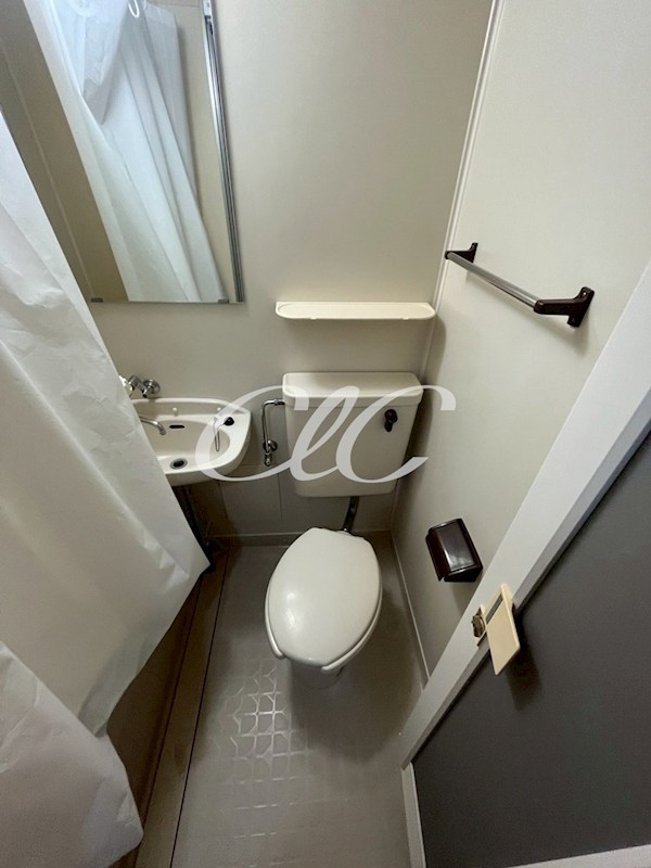 ジャーティンイトウ その他1