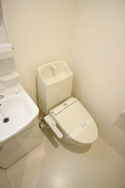 グランブルー その他4