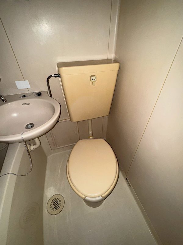 ヴェルドミール  その他2