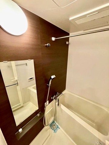 レジディア蒲田Ⅴ 風呂画像