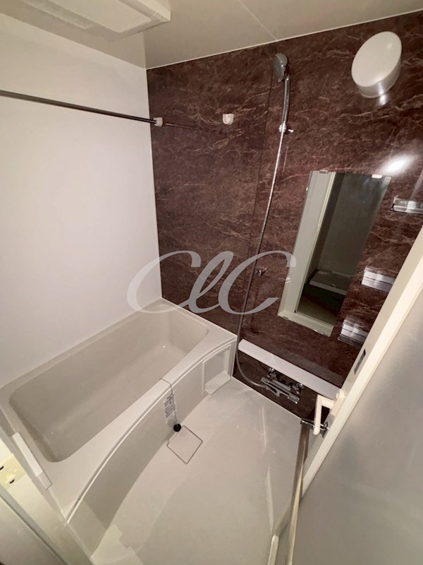 Villa Blanche 風呂画像