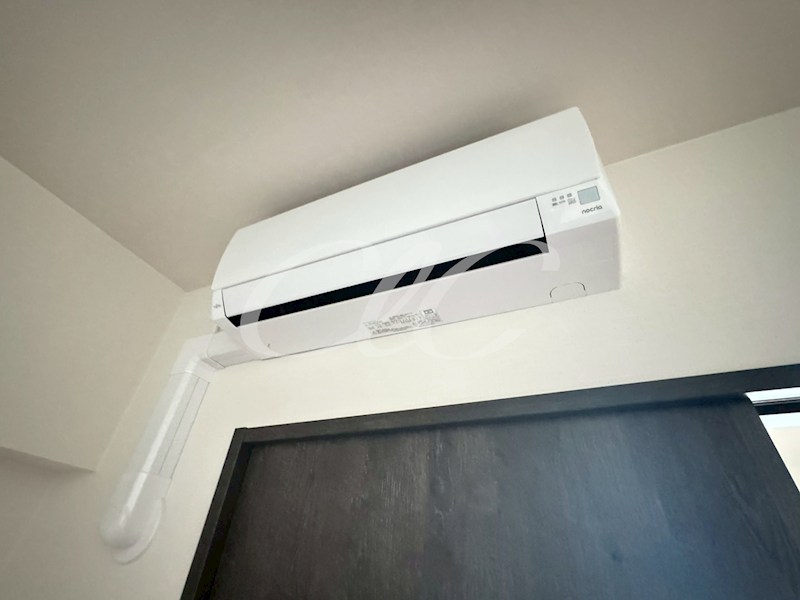 Villa Blanche その他12