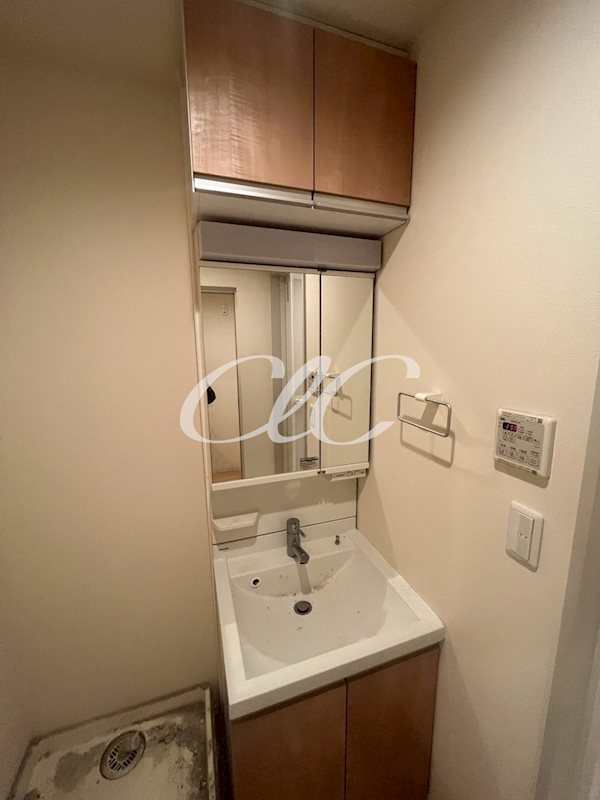 Ｌａ　Ｐｒｉｍａｖｅｒａ　Ｋａｗａｓａｋｉ その他1