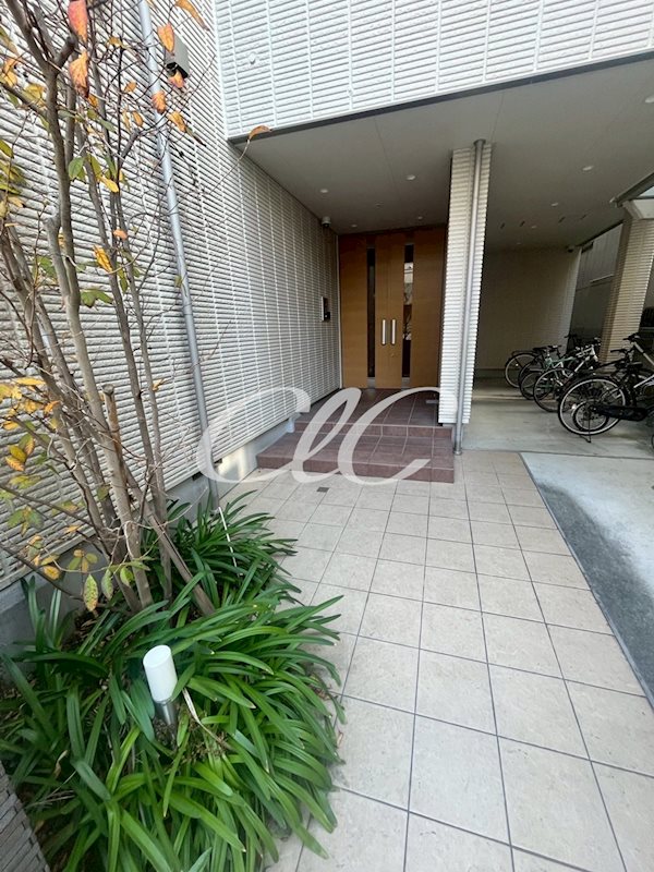 Ｌａ　Ｐｒｉｍａｖｅｒａ　Ｋａｗａｓａｋｉ その他4