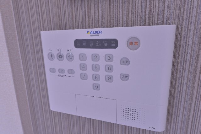 プラムブロッサム　サウス その他1