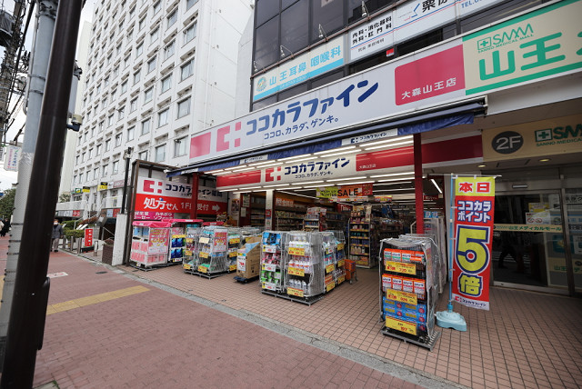 GRAN　PASEO　大森北 周辺画像8