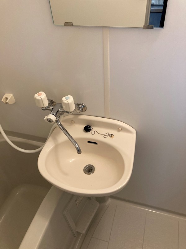 ヴェルドミールB その他1