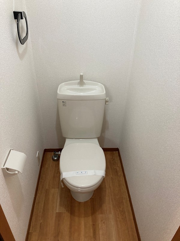 ヴェルドミールB その他2