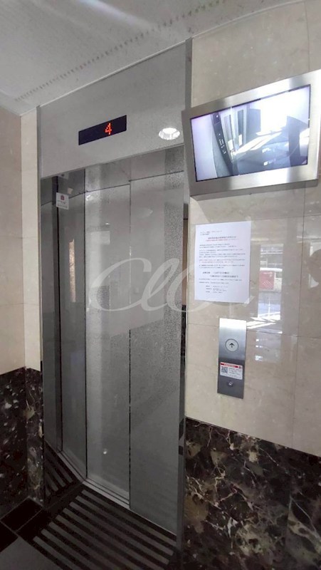 グリフィン横浜・サザンフォート その他6