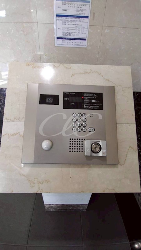 グリフィン横浜・サザンフォート その他7