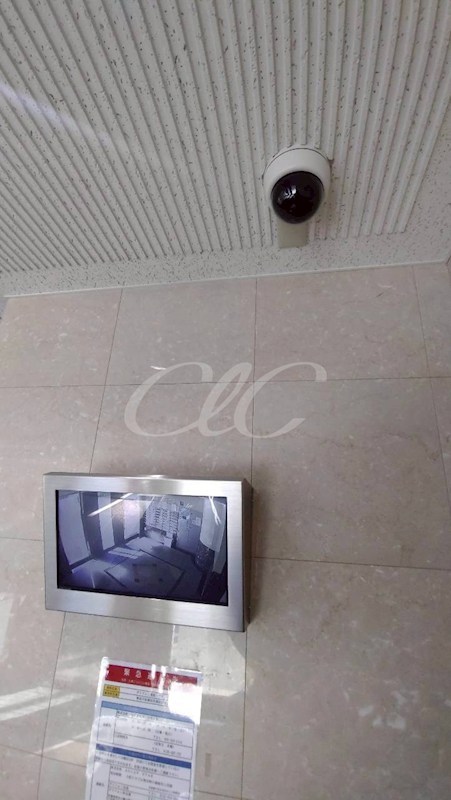 グリフィン横浜・サザンフォート その他9